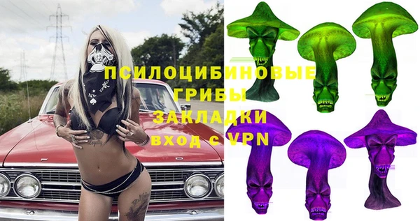 дживик Алексин