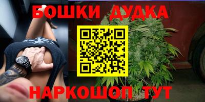 гидра Нальчик
