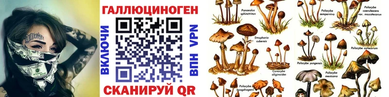 omg зеркало  Подольск  Галлюциногенные грибы ЛСД 